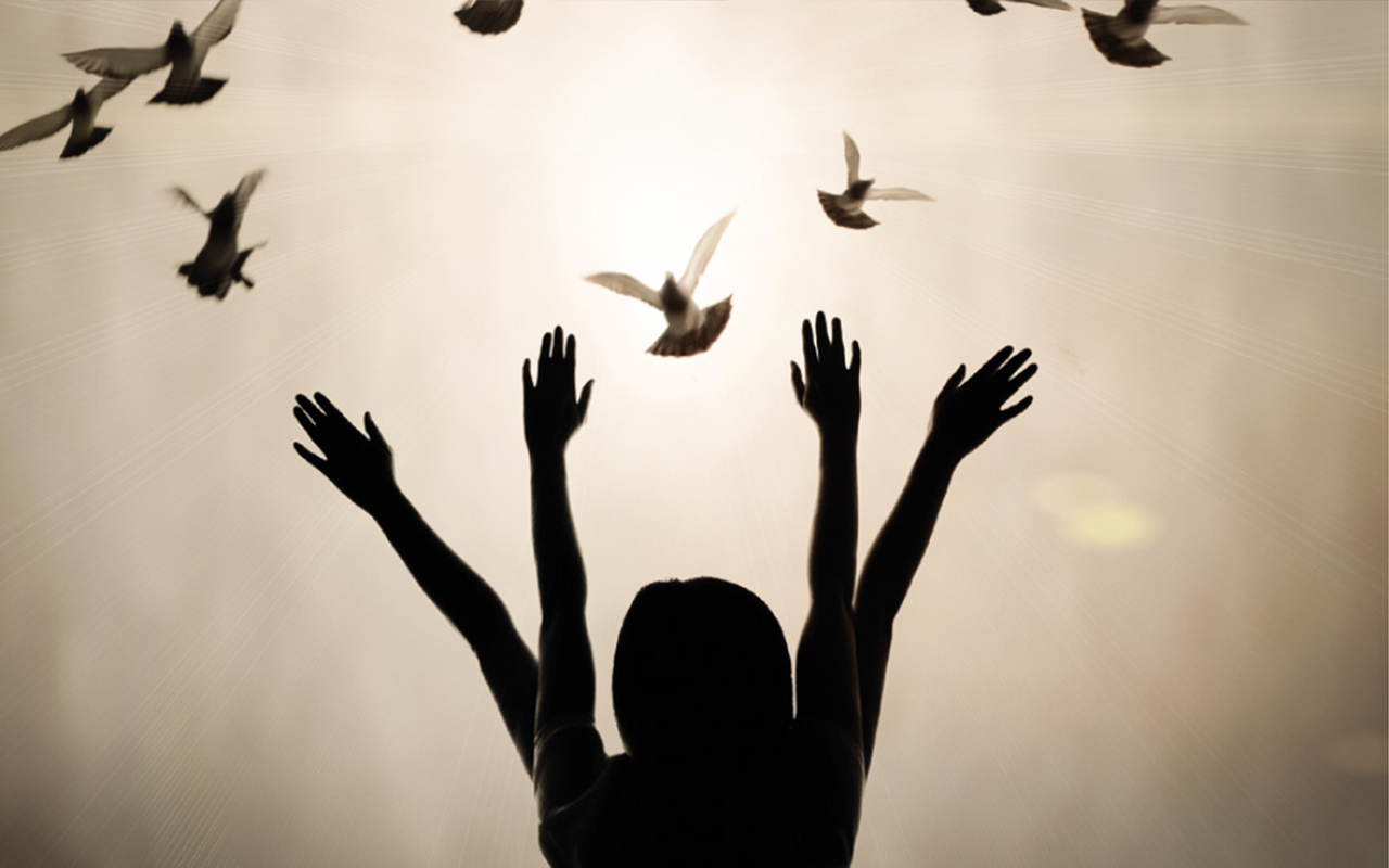 Khalili Foundation | Interfaith Birds